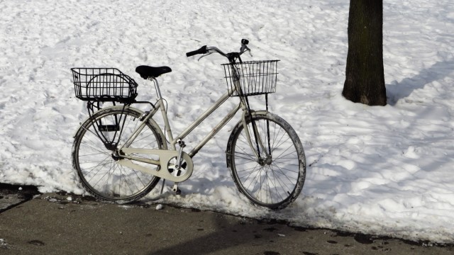 snowbike 003a