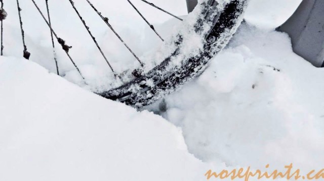 snowbike watermark